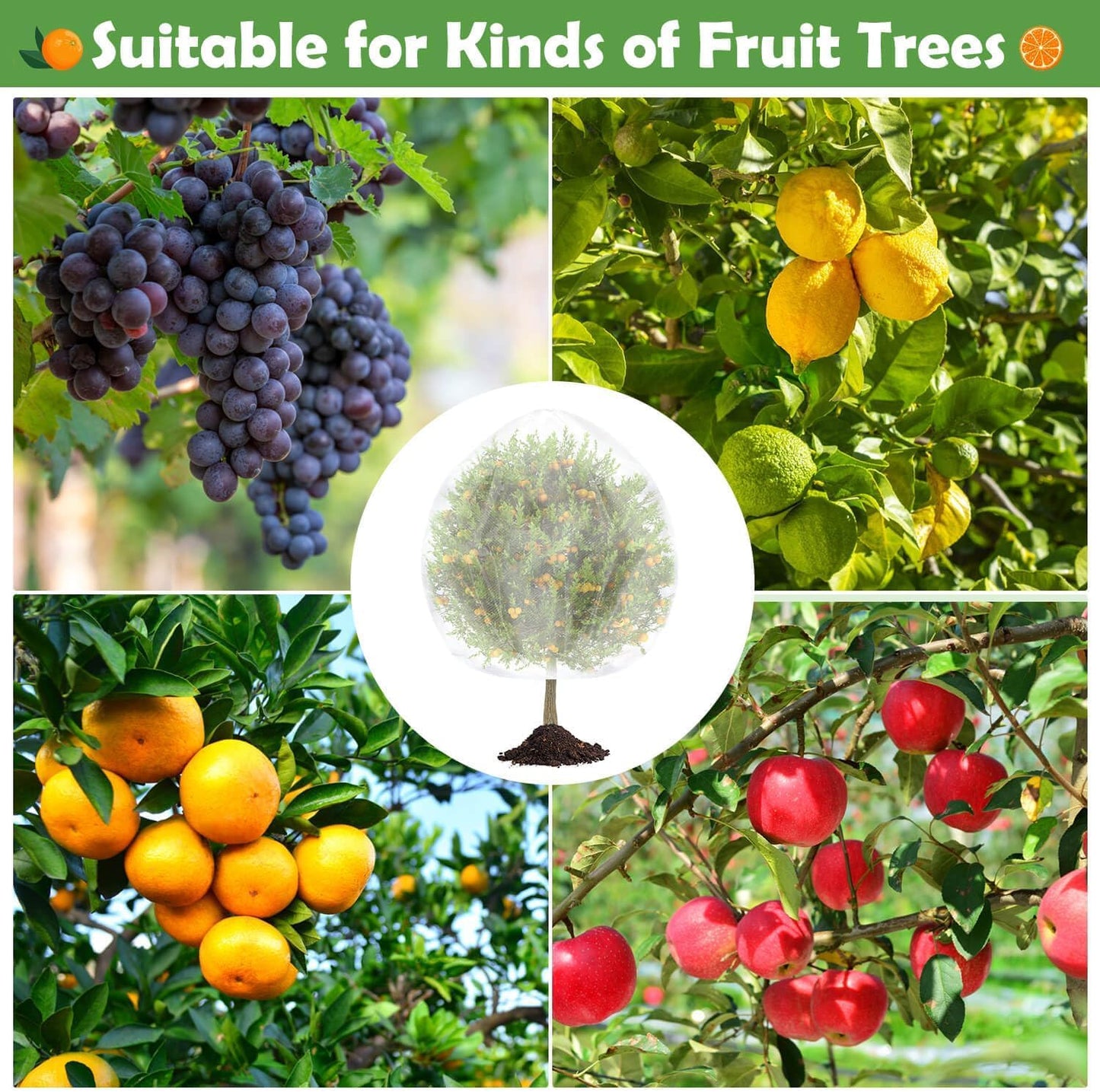 Tetutor 4PCS Fruits Tree Netting, 7.5 x 5.2 ft Large Ultra-Fine Mesh Tree Net for Cicadas with Drawstring,Bird Netting for Fruit Trees, Insect Mesh Neting for Garden Plants