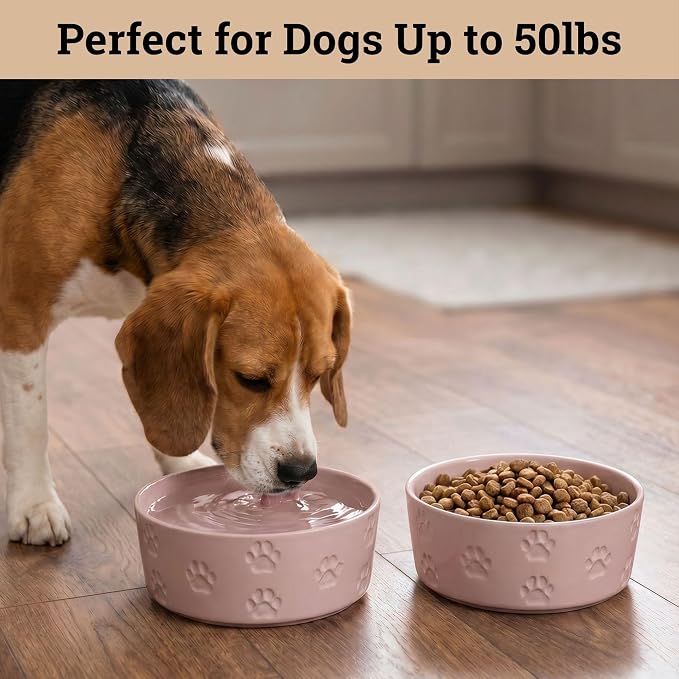 Ceramic Dog Bowl Set of 2 with Anti-Skid Base - 6.5" Wide x 2.5" Tall Ceramic Dog Bowls Medium Sized Dogs - 3.8 Cup Capacity Food and Water Bowls for Dogs - Rubber Bottom Pet Bowl Set of 2 Medium Size