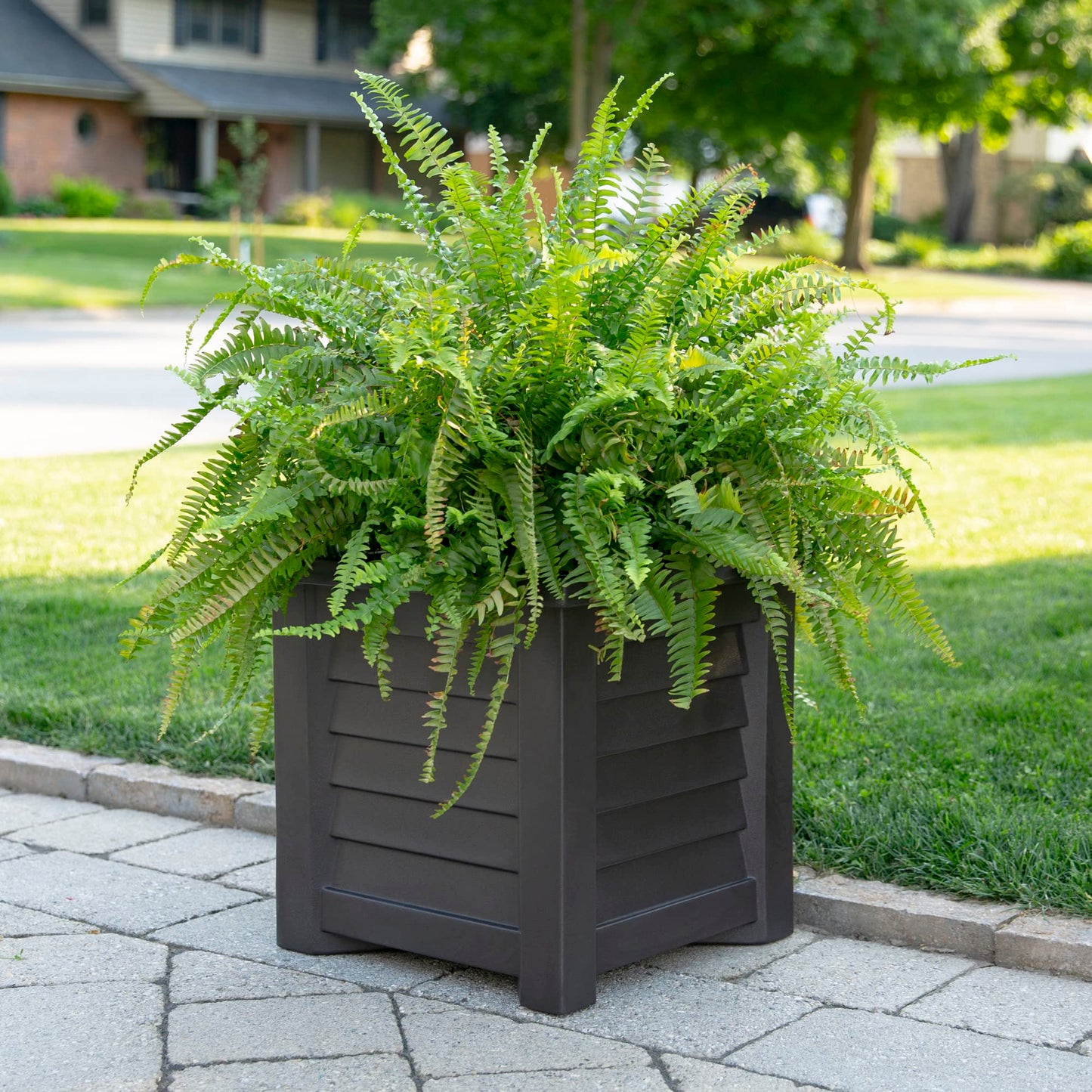 Mayne 5866-ES Lakeland Square Patio Planter, 16x16, Espresso