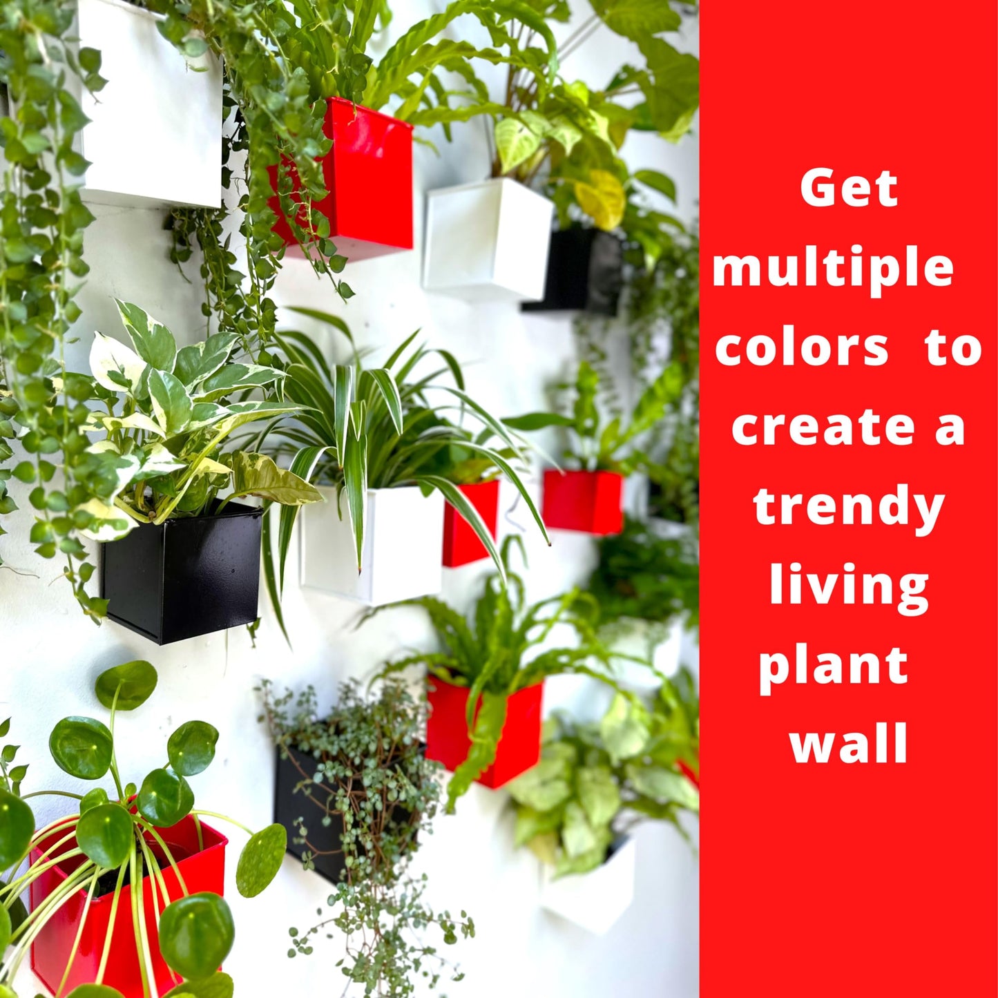 LaLaGreen Wall Planter - 6 Pack, 4 Inch Square Metal Wall Planter for Indoor Plants, Small Black Wall Mounted Flower Pots Outdoor Garden Decoration, Balcony Planters Railings Hanging Outdoor