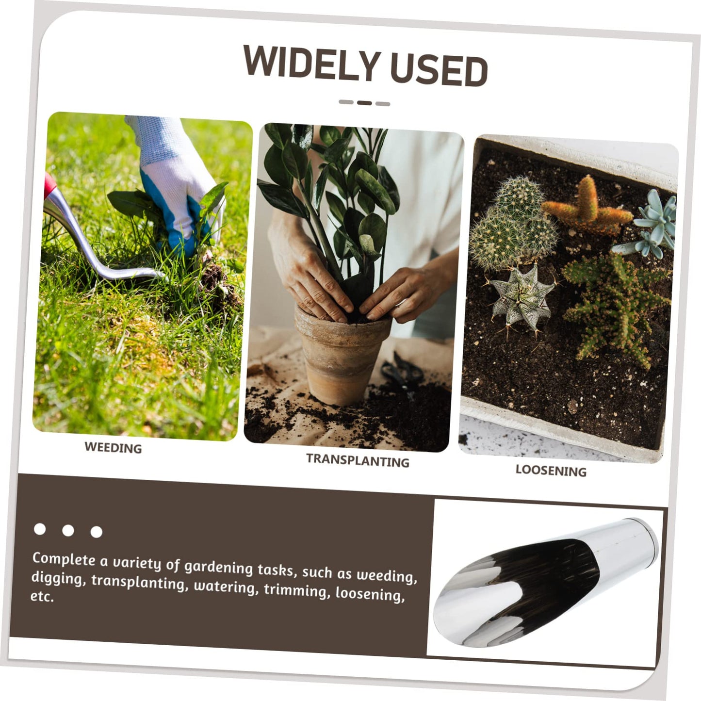 FUNOMOCYA Stainless Steel Gardening Scoop Small Soil Shovel Lightweight Handheld Planting Tool for Transplanting Potting Succulents Indoor Outdoor 6.69In