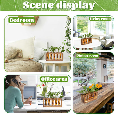 Glass Plant Propagation Station with 5 Test Tubes Colorful Planter Vase Birthday Gifts for Women in Wooden Stand