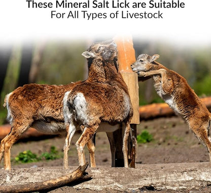 Licking Salt for Deer - 6 Pack, Pink