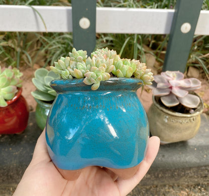 Casktcom 4PCS Handcraft Glazed Succulent Planters，Small Ceramic Succulent Pots with Drainage，Small Pots for Succulents - Mix Color Set