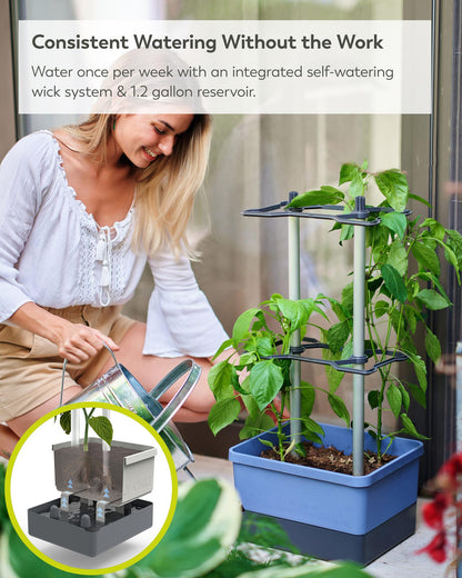BUZZY Seeds Charly Chili Self-Watering Planter with Vertical Trellis – 1.2 Gal Reservoir, Large Capacity Planter for Chili Peppers, Bell Peppers & Eggplants (Blue)