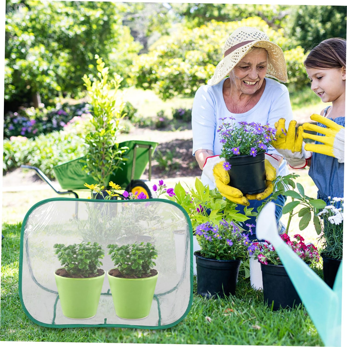 BAZEITFLOW Mini Garden Greenhouse Portable Foldable Plant Care Tent for and Small Plants Design for Spaces Weather-Resistant Growth Chamber for Use