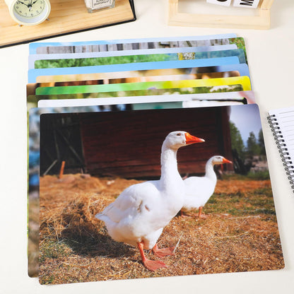 Motiskyy 12 Pcs Diversity Posters for Classroom Preschool Educational Learning Real Pictures for Daycare Home Multicultural Awareness(Farm Style)