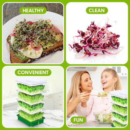 ZESTIGREENS 4-Tier Sprouting Kit - Stackable Seed Sprouter Trays with Drain Spout - Grow Fresh Sprouts at Home - BPA-Free