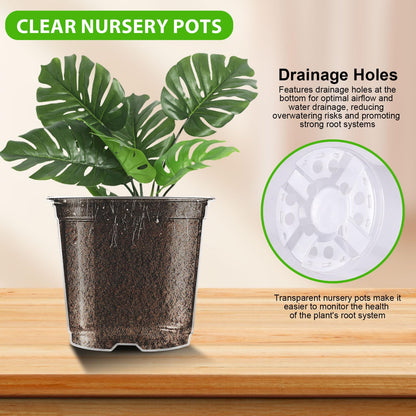 auriikoop Clear Nursery Pots for Plants, 3.5/4/5 inch Plastic Plant Flower Pot with Drainage Holes High Transparency Seedling Planter for Seed Starter (36PCS)