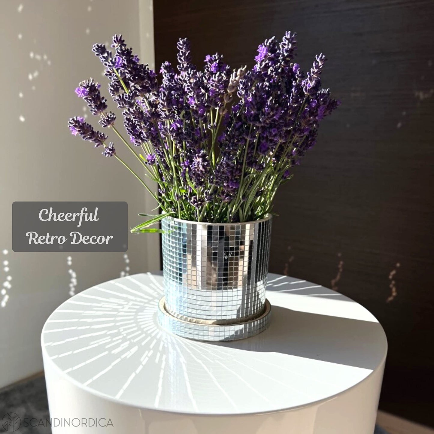 SCANDINORDICA Disco Ball Planter 6" Silver with Chain and Macrame Hanger and Disco Ball Planter Pot 4.3" with Saucer (0.2x0.2 mirror tiles)
