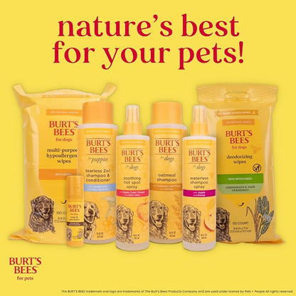 Burt's Bees for Pets Oatmeal Dog Shampoo with Honey, Soothing Formula for Itchy and Sensitive Dog Skin, Colloidal Oat Flour and Honey, pH Balanced, Sulfate-Free, 16 Fl Oz - 2 Pack