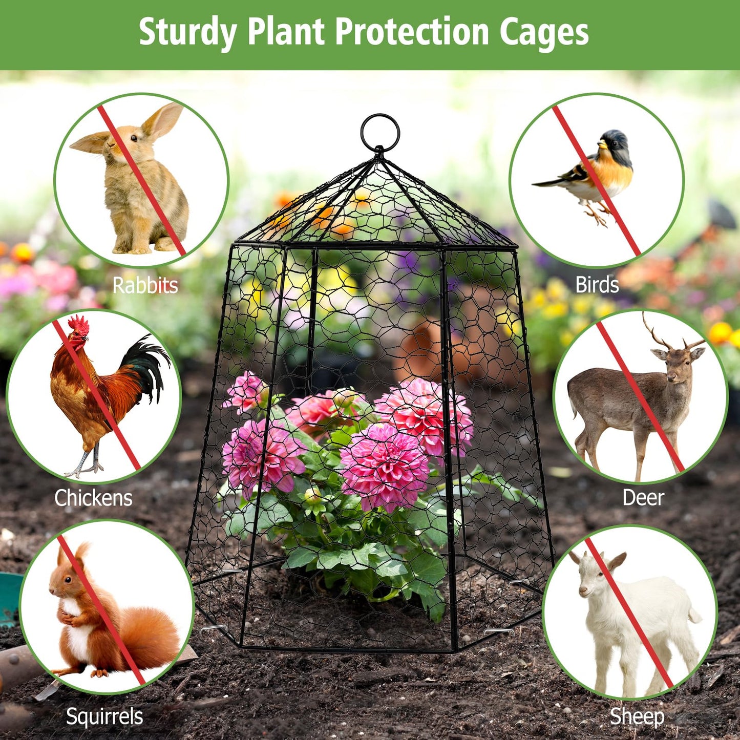 Budiwati 18.5" x 13" Large Plant Protection Cage, 5 Pcs Chicken Wire Cloche, Metal Protectors for Garden Plants, Protecting Fruits and Seedlings from Rabbits, Squirrels and Other Animals