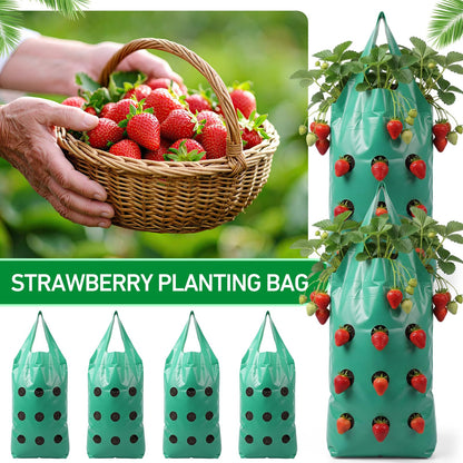 50 Pack Hanging Strawberry Planter Grow Bags, 9 Hole Plastic Hanging Vertical Planters, Upside Down Garden Bags with Reinforced Handles for Outdoor Wall Strawberries, Cherry, Tomatoes, Flowers, Tomato