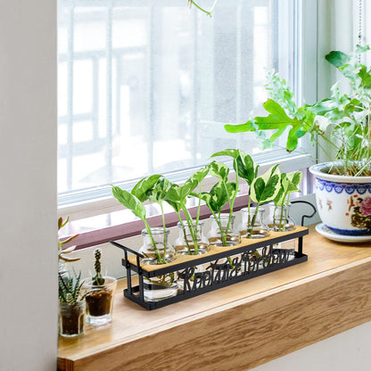 THYGIFTREE Plant Propagation Stations, for Plant Lovers Rooting for You Propagate Jars for Hydroponic Cuttings Propagating Vase