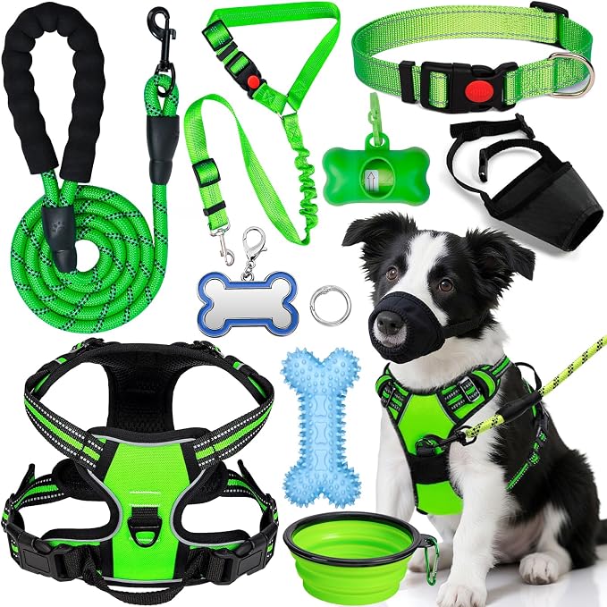 No Pull Dog Harness Adjustable Collar & Leash Set - Dog Halter Harnesses Collapsible Bowls & Poop Bag Dispenser Muzzle ID Tags Toys Fits Small Medium Large Dogs (Green-M)