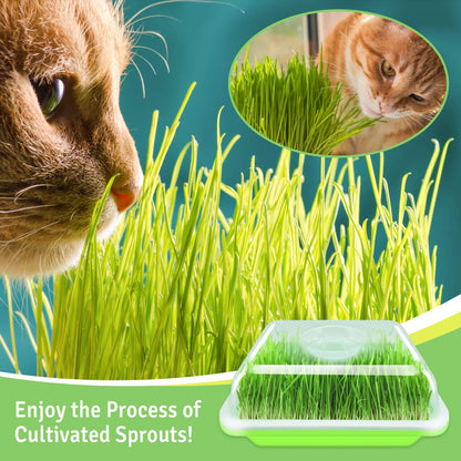 Legigo 2 Pack Seed Sprouter Trays with Lids- Soil-Free Cultivation Germination Tray, BPA Free Micro Greens Growing Trays Seed Sprouting Trays Kit with Germinating Paper for Wheatgrass, Beans and More
