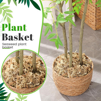 Knitgrip 3 Pack Seagrass Plant Basket Indoor with Artificial Moss 3 Sizes Woven Baskets Flower Pots Planters for Home Decor