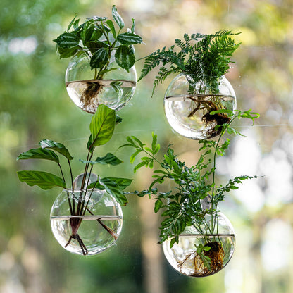 Window Propagation Stations, Oblate Glass Terrariums Planter with Suction Cup Hook, Wall Hanging Planters for Hydroponics Plants, Home, Office, Bathroom, Living Room Decor, Gift for Plant Lovers (2)