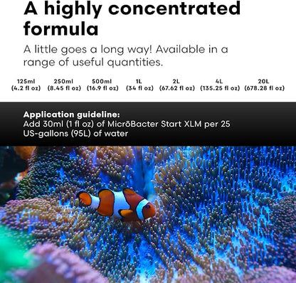 Brightwell Aquatics MicroBacter Start XLM - Concentrated Saltwater Nitrifying Bacteria - Quick Start Fish Tank Starter, Lift Microbe Levels & Water Filtering - Marine Aquarium Treatments, 8.45 fl oz