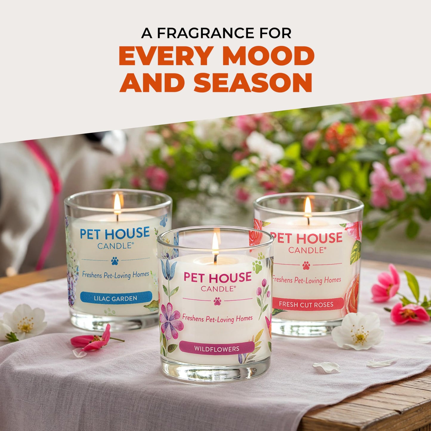 One Fur All Pet House Fall Candles, Long Lasting, Clean Burning, Soy Wax Scented Candles for Pet Odor, Apple Cider