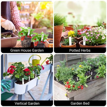 GREANER Window Boxes Planters with 100PCS 4inch White Plant Label, 3PCS 16x3.8 Inch Large Herb Planters with Tray, Indoor Succulent Cactus Flowers Vegetable Plastic Rectangle Pots for Balcony, Office,