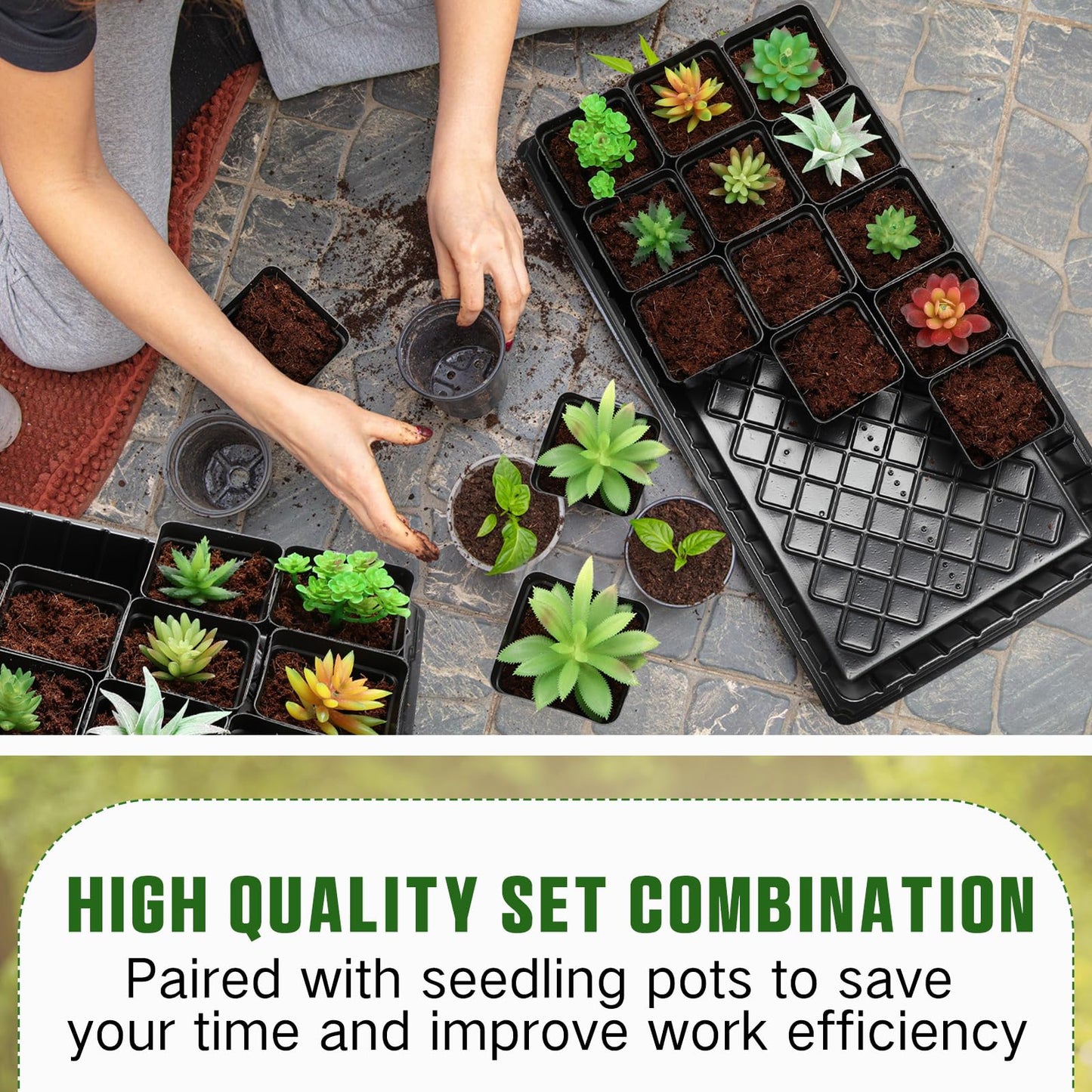 Barydat 6 Set Seed Starter Trays with 108 Pcs Square Nursery Pots 20 x 10 Inch Microgreens Plant Growing Large Seed Starting Trays Square Plant Pot for Seedlings Indoor Gardening or Hydroponic
