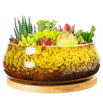 ARTKETTY Succulent Pots - 8 Inch Plant Pot, Large Bonsai Pots with Drainage Tray, Ceramic Planters for Indoor Outdoor Plants, Round Shallow Cactus Flower Plant Container Bowl Decorative Home Garden