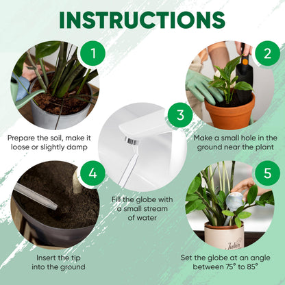 Mission Gallery Clear Plant Watering Globes Set of 6 - Small Self Watering Globes for Indoor & Outdoor Plants - Automatic, Glass Watering Bulbs for Daily Use, Plant Watering Devices