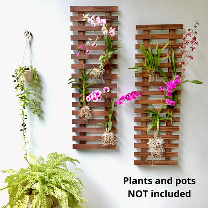 ShopLaLa Bundle- 2 Pack, 35.4 Wooden Plant Holder + 10 Pack, 4 Inch White Self Watering Plastic Pots Large Unique Modern Vertical Wall Mount Hydroponic Garden System Outdoor Planter Dark Brown Decor