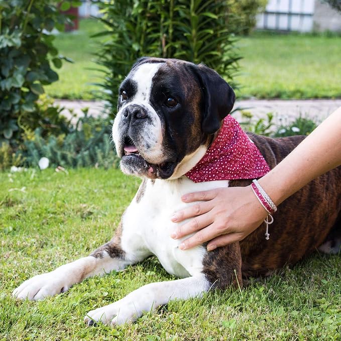 Pettsie Hemp Dog Bandana Collar & Matching Owner Friendship Bracelet | Soft & Durable Hemp, Removable Scarf, Matching Owner Friendship Bracelet, Gift-Ready Set