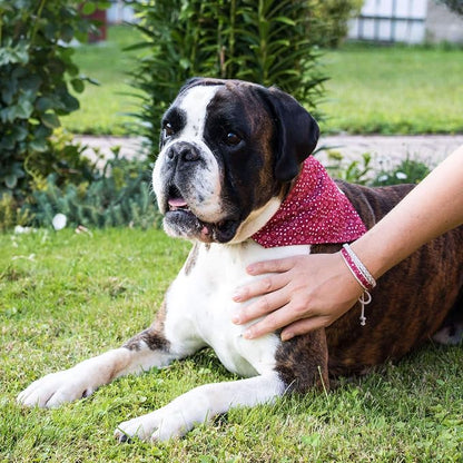 Pettsie Hemp Dog Bandana Collar & Matching Owner Friendship Bracelet | Soft & Durable Hemp, Removable Scarf, Matching Owner Friendship Bracelet, Gift-Ready Set