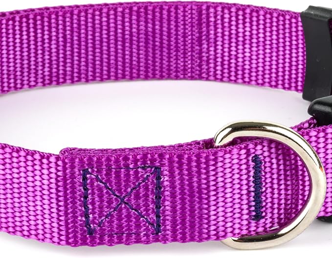 Country Brook Petz - Everyday Nylon Dog Collar and Leash - 10+ Cool Colors (3/4 Inch, Medium, Bright Purple)