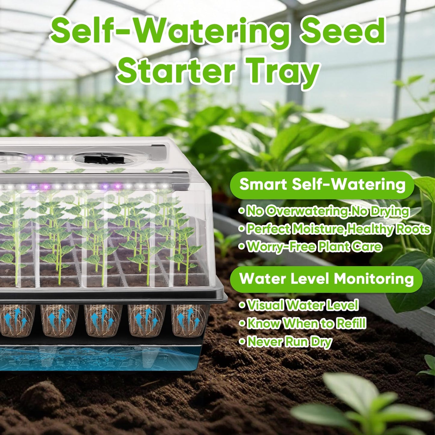 BlumWay 120-Cell Self-Watering Seed Starter Tray with Grow Light, 1-24H Timer, Seed Starter Kit with 4.02" Humidity Dome, Seedling Tray for Indoor Plant Starter, Plant Germination Trays-Black