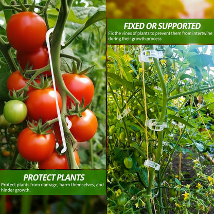 HFXXAD 500Pcs Tomato Clips & Tomato Support j Hooks Plastic Trellis Clips Adjustable Tomato Vine Garden Clips to Prevent Tomatoes Falling Off