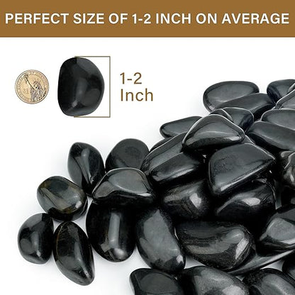12lb Black River Rocks for Plants Indoor, 1-2Inch Pebbles for Vases Fillers, Decorative Gravel for Fish Tank, Natural Polished Stones for Succulent, Bonsai, Landscaping, Bird Baths