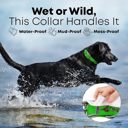Regal Dog Products Large Light Green Waterproof Dog Collar and Leash Set | Heavy Duty Double Buckle & D Ring - 5'ft Leash | Adjustable Biothane Dog Collar | Chew Resistant Waterproof Collar for Dogs