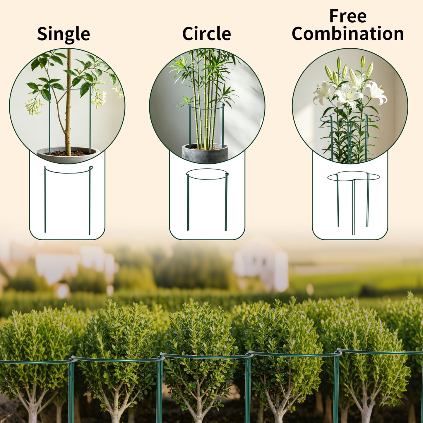 6-Pack Garden Plant Support Cages,14" Diax32 H Heavy Duty Interlinked Half Round Peony Support Rings,Metal Plant Support Stakes for Peony,Tomato,Hydrangea,Rose,Indoor & Outdoor Garden Plant Supports
