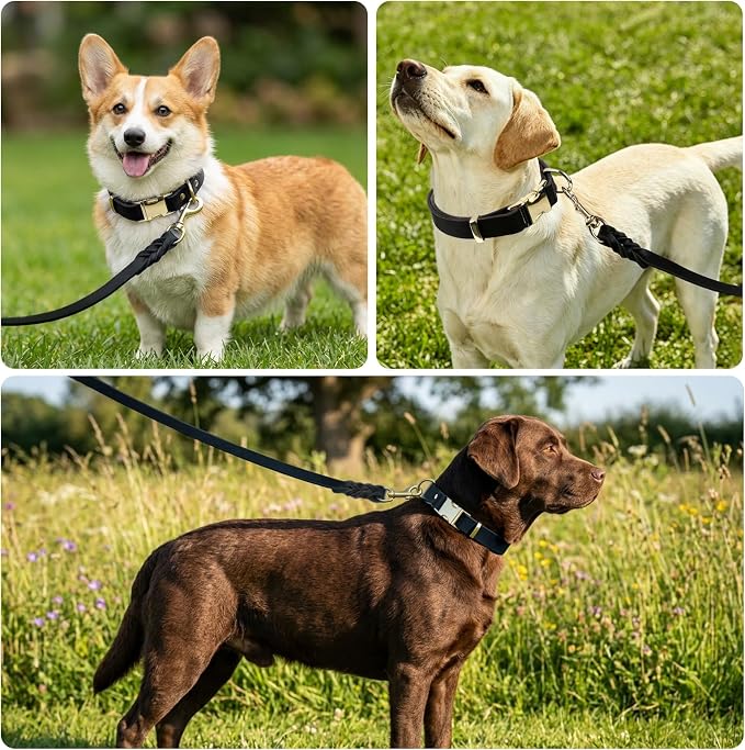 Leather Dog Collar and Leash Set, 5FT Heavy Duty Leather Training Leash with Adjustable Dog Collar, Soft and Durable Dogs Leashes and Collars Set for Small Medium Large Dogs (Black, S)