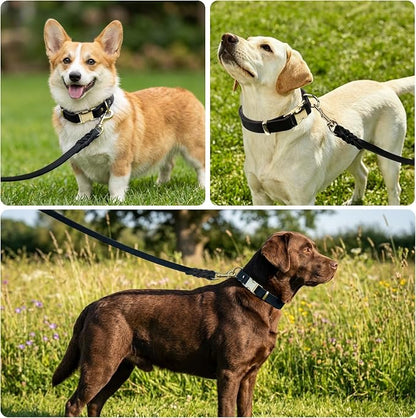Leather Dog Collar and Leash Set, 6FT Heavy Duty Leather Training Leash with Adjustable Dog Collar, Soft and Durable Dogs Leashes and Collars Set for Small Medium Large Dogs (Black, M)