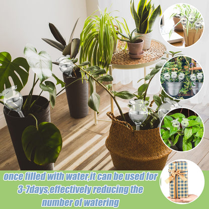 Yungyan 6 Pcs Self Watering Plant Globes Glass Insert Watering Devices Automatic Plant Water Bulbs Water Globes for Indoor Outdoor Plants(Clear Tulip,5.31 Inch)