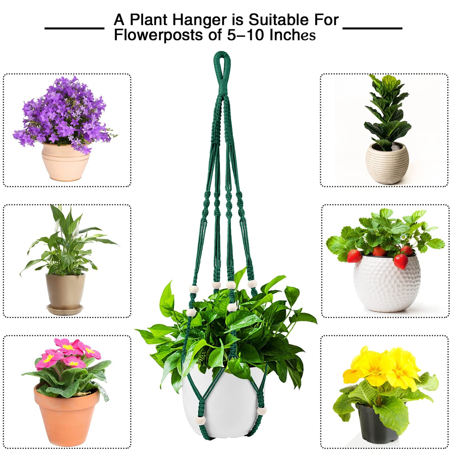 Augshy Macrame Plant Hangers Dark Green Hanging Planters for Indoor Outdoor Home Decor, Hanging Plant Holder No Tassels Set of 2 with 4 Hooks
