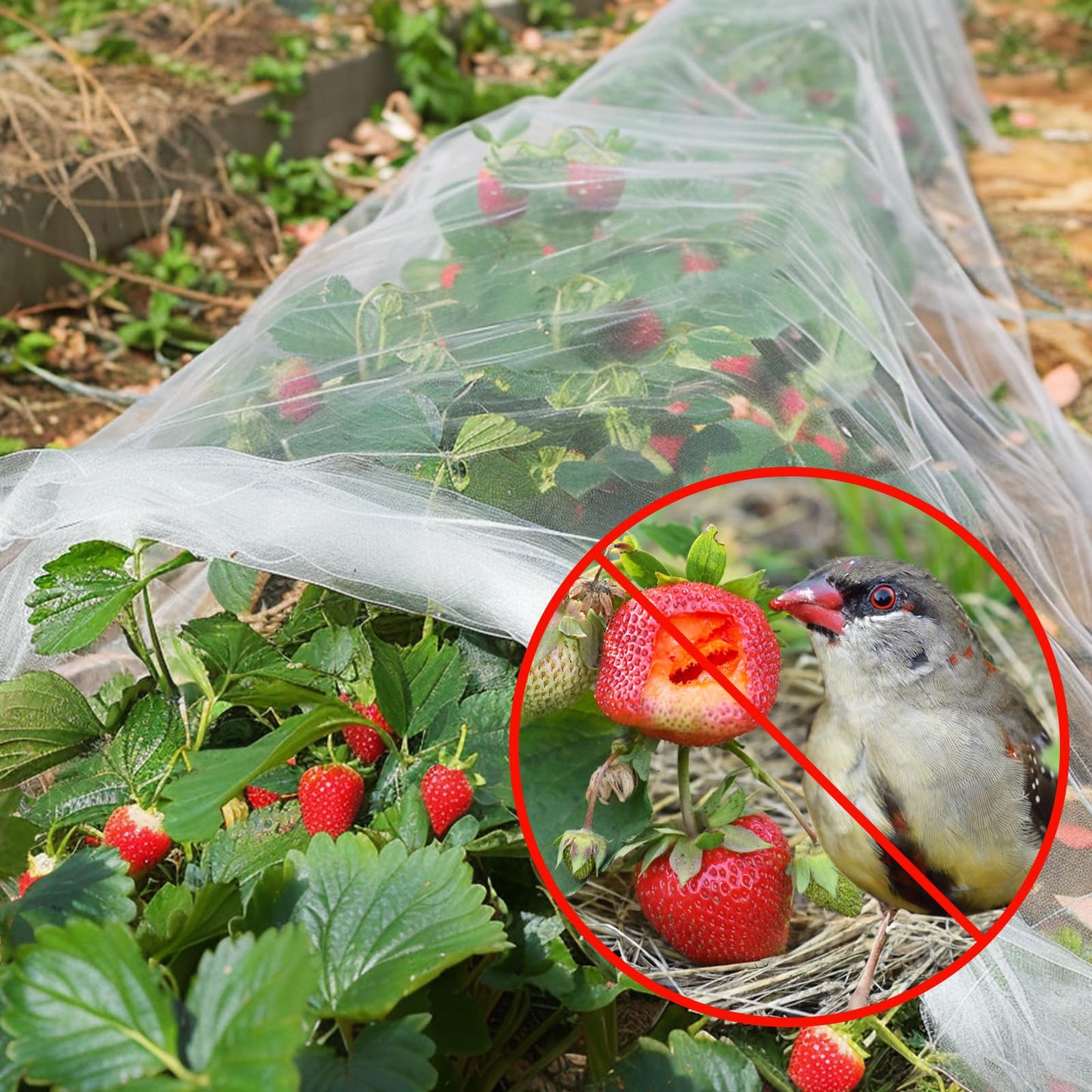 GonLei Garden Netting 2Pack 10X30FTPlants Garden Mesh Berry Netting Outdoor Mosquito Net,Garden Bed Fruit Tree Blueberry Shrubs Netting Plant Covers Row Vegetables Protection Barrier Net