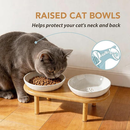 Havniva Elevated Cat Bowls Raised Ceramic Cat Bowl, 5.7” Wide Opening Cat Food Bowl Whisker Friendly Cat Dish Anti-Slip with Bamboo Stand, Shallow Pet Food & Water Bowl for Indoor Cats
