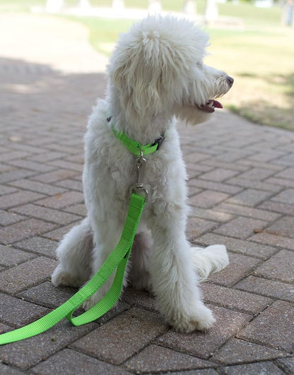 Country Brook Petz - Everyday Nylon Dog Collar and Leash - 10+ Cool Colors (1 Inch, Extra Large, Hot Lime Green)