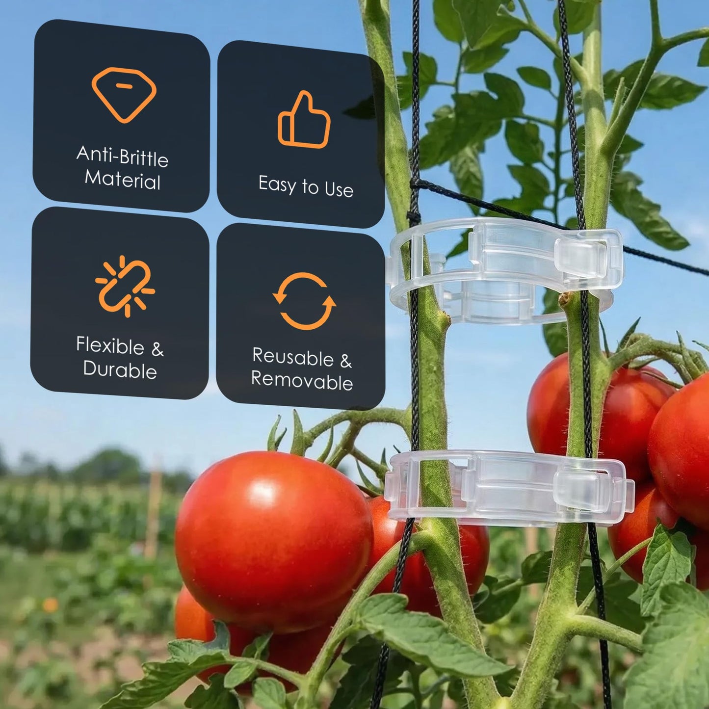 100pcs Tomato Clips for Climbing plants, Plastic Trellis Plant Support Clips for Garden, Reusable Clips for Supporting Grape Tomato Vine and Vegetables Plants to Grow Upright Makes Plants Healthier