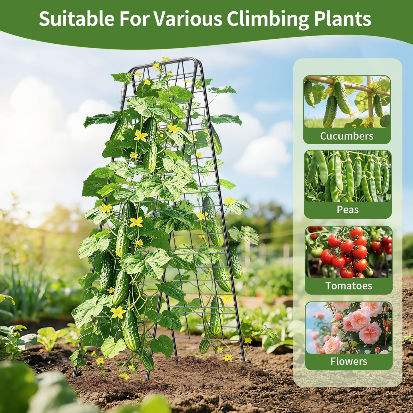 100% Metal Cucumber Trellis for Raised Bed,62"x17" A-Shape Garden Plant Support for Climbing Plants, Heavy Duty Metal Garden Trellises Plant Support for Vine Vegetables Outdoor (Black, 62x17inch(H*W))