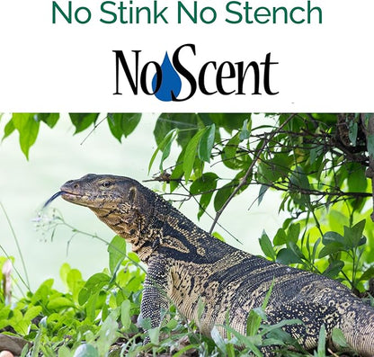 No Scent Reptile Tank Cleaner Spray & Pet Odor Management for Bearded Dragon, Turtle, Lizard Terrarium Freshener (32 Fl Oz / 946 mL)