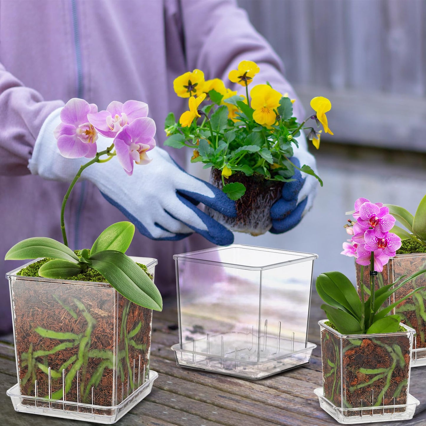 IWNTWY Clear Plant Pots, 6/5/4/3 Inch Set of 4 Flowers Pot with Drainage Holes and Saucer for Indoor Outdoor Plants, Breathable Plastic Planters Orchid Pot for Repotting