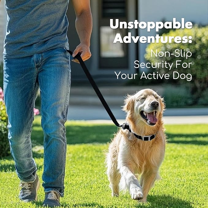 4.2FT Dog Collar and Leash Set, PVC Waterproof Adjustable Odor Proof Pet Collars Leashes, Easy to Clean, Surface 3D Cube Effect, Dog Leash for Small Dogs, Black
