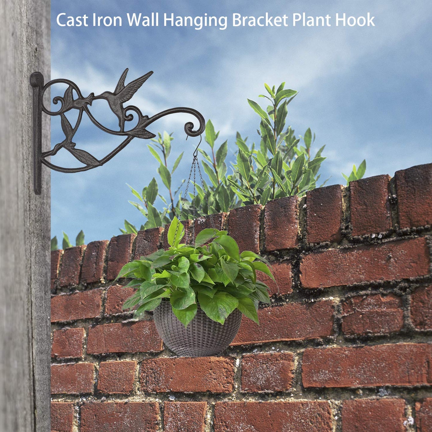 Livfodrm 2PCS Plant Hangers Outdoor Plant Hooks for Wall/Fence, Hummingbird Hanging Plant Bracket Heavy Duty Cast Iron Plant Hanger for Lantern/Bird Feeder, Drak Brown